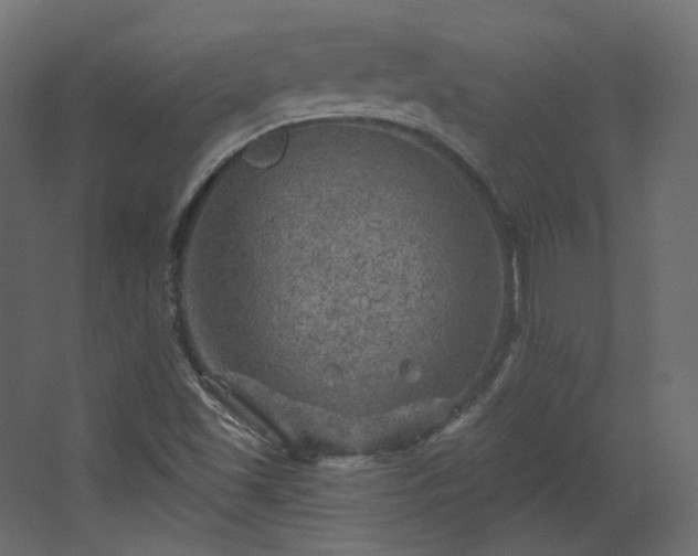 X0000067841501200604201228