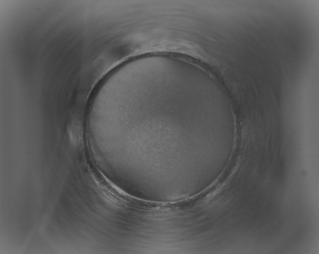 X0000067841505200604201228