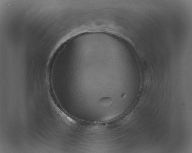 X0000067841506200604201228