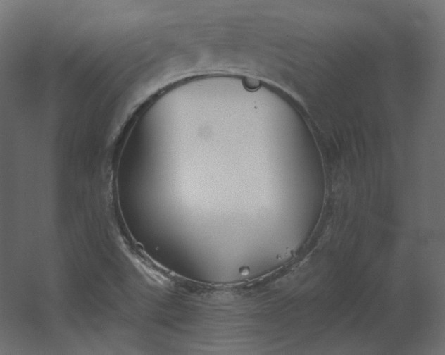 X0000067841507200604201228