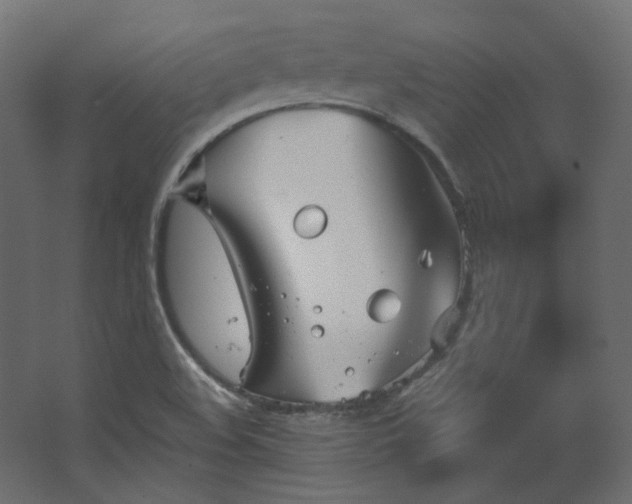 X0000067841508200604201228