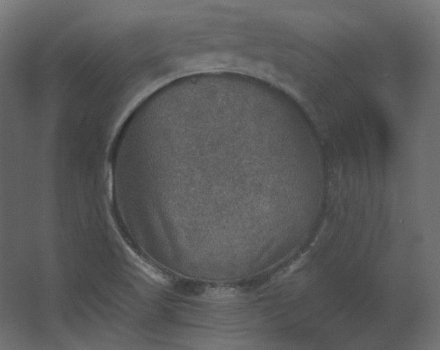 X0000067841509200604201228