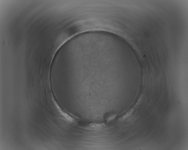 X0000067841513200604201228