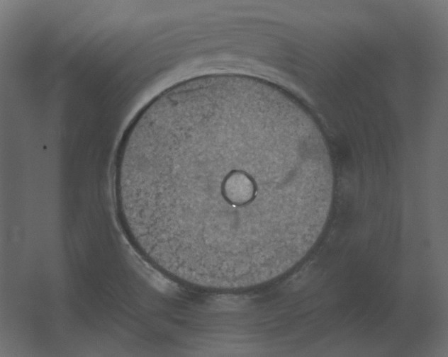 X0000067841514200604201228