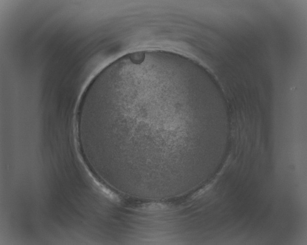 X0000067841517200604201228