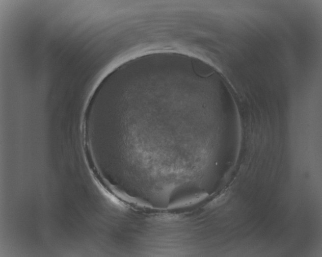 X0000067841519200604201228