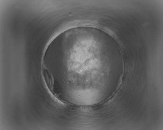 X0000067841520200604201228