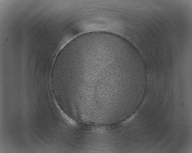 X0000067841521200604201228