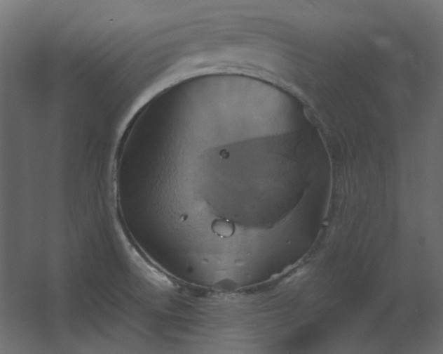 X0000067841522200604201228