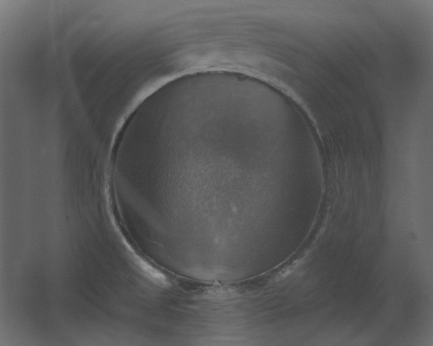 X0000067841525200604201228