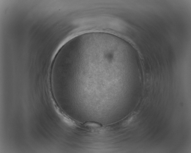 X0000067841530200604201228