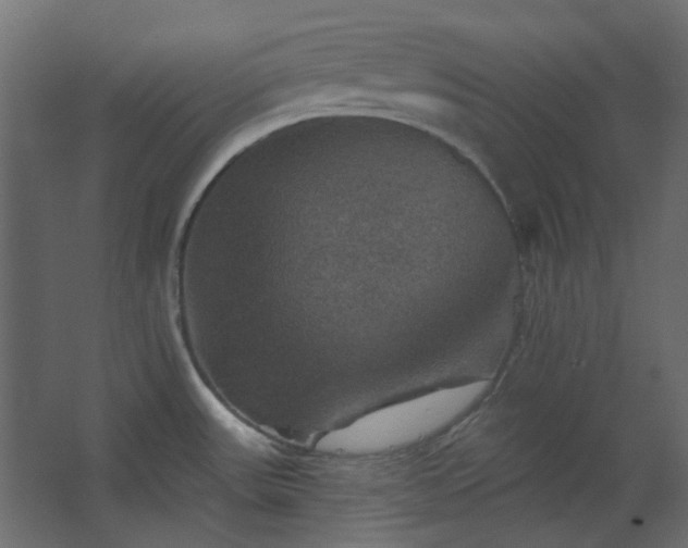 X0000067841531200604201228