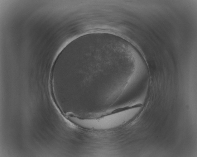 X0000067841533200604201228