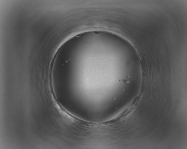 X0000067841534200604201228