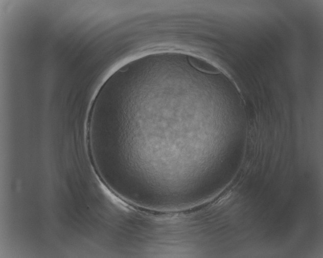 X0000067841535200604201228