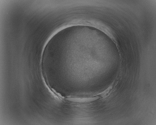 X0000067841536200604201228