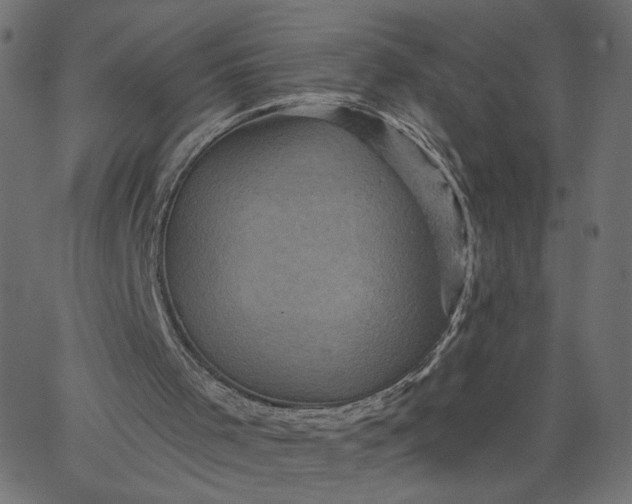 X0000067840001200604271631