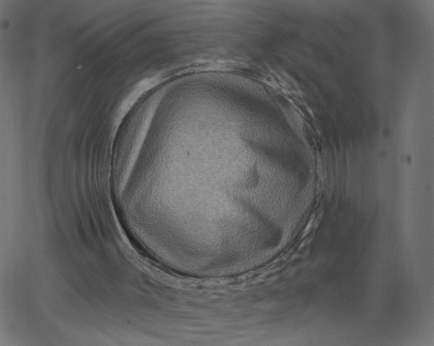 X0000067840003200604271631