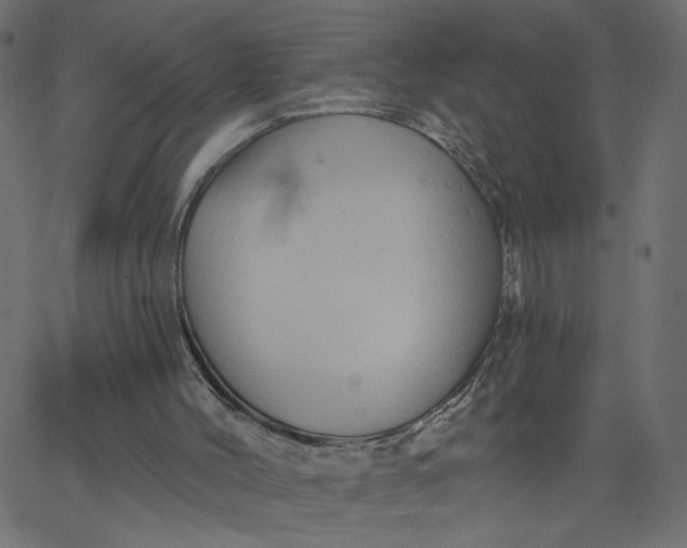 X0000067840004200604271631