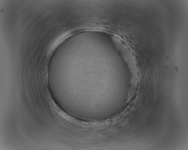 X0000067840005200604271631