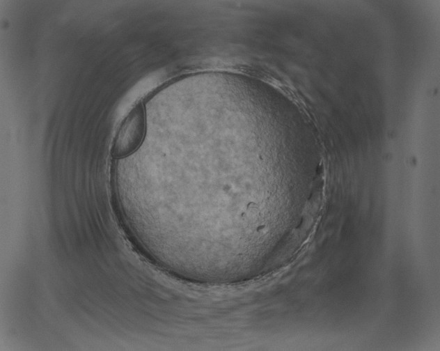 X0000067840006200604271631