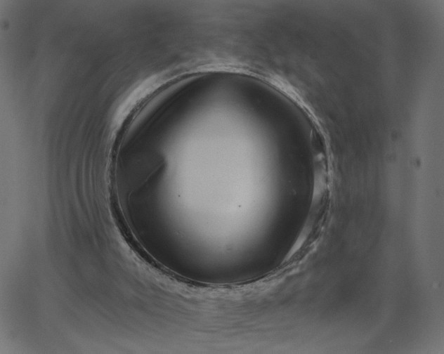 X0000067840007200604271631