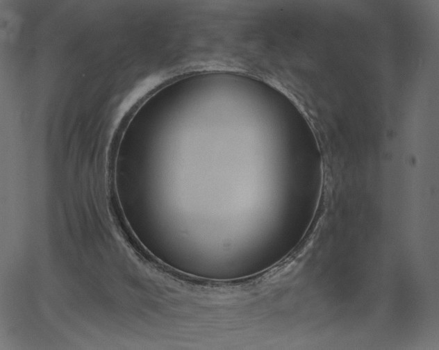 X0000067840008200604271631