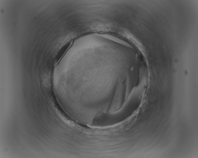 X0000067840009200604271631