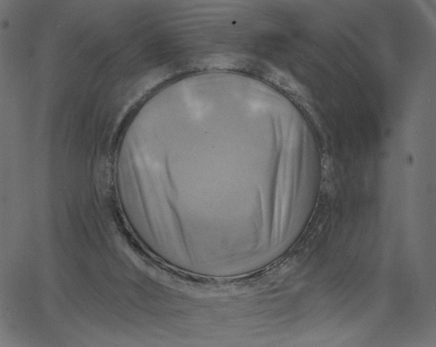 X0000067840012200604271631