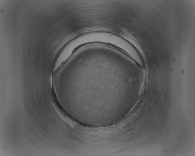 X0000067840013200604271631