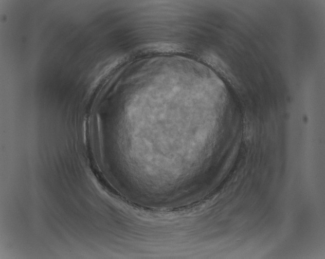 X0000067840014200604271631