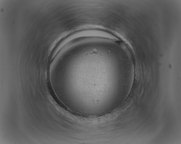 X0000067840015200604271631