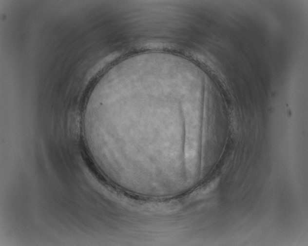 X0000067840016200604271631