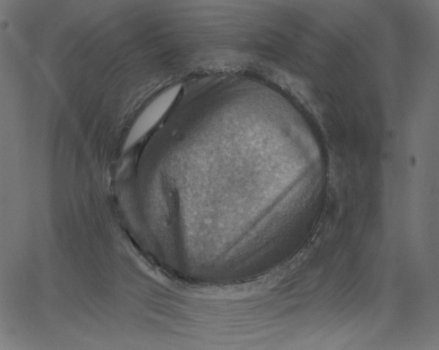 X0000067840017200604271631