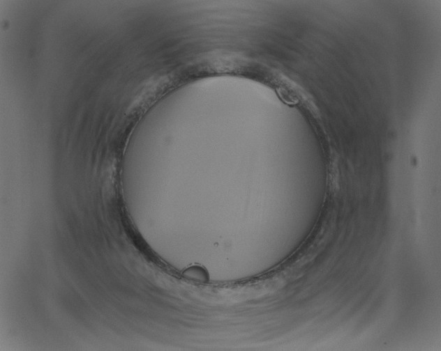 X0000067840018200604271631