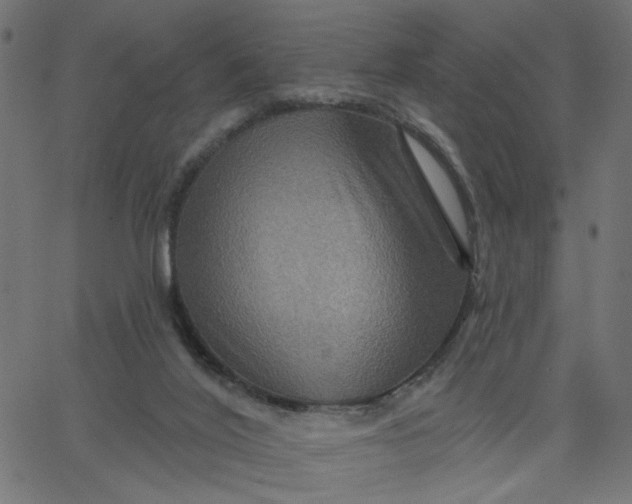 X0000067840020200604271631