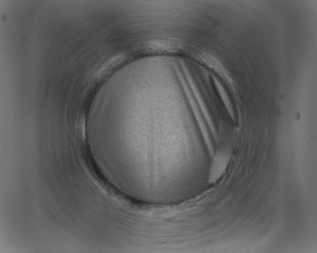 X0000067840021200604271631