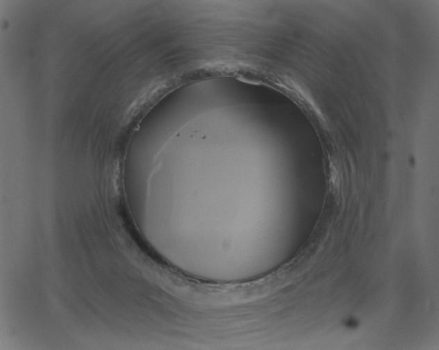 X0000067840023200604271631