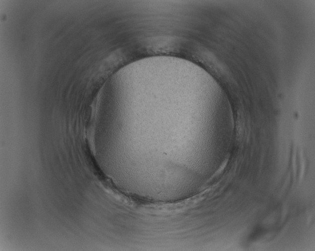 X0000067840025200604271631