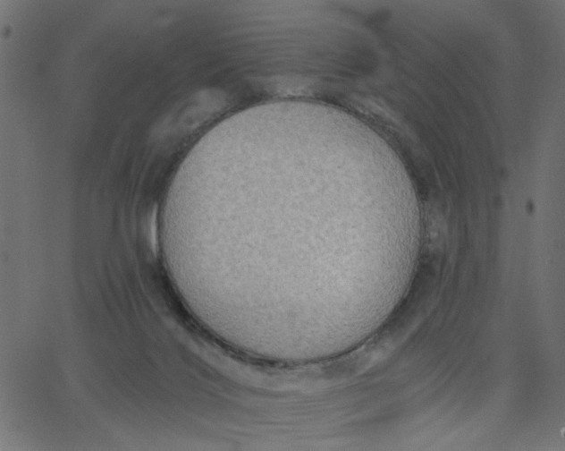 X0000067840028200604271631