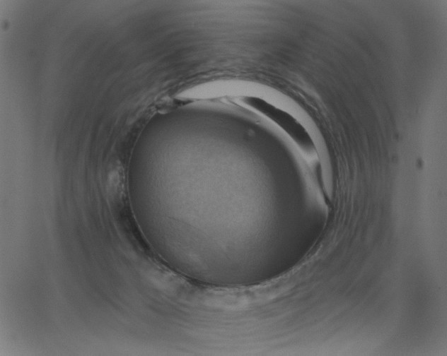 X0000067840029200604271631