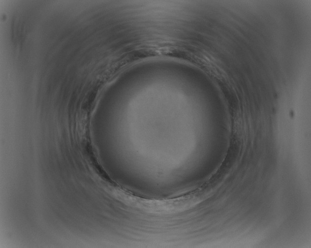 X0000067840030200604271631