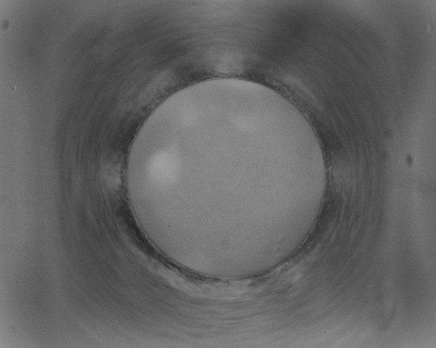 X0000067840032200604271631