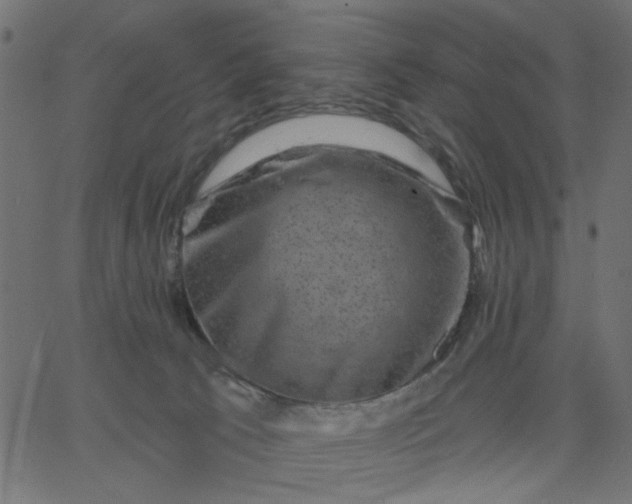 X0000067840033200604271631