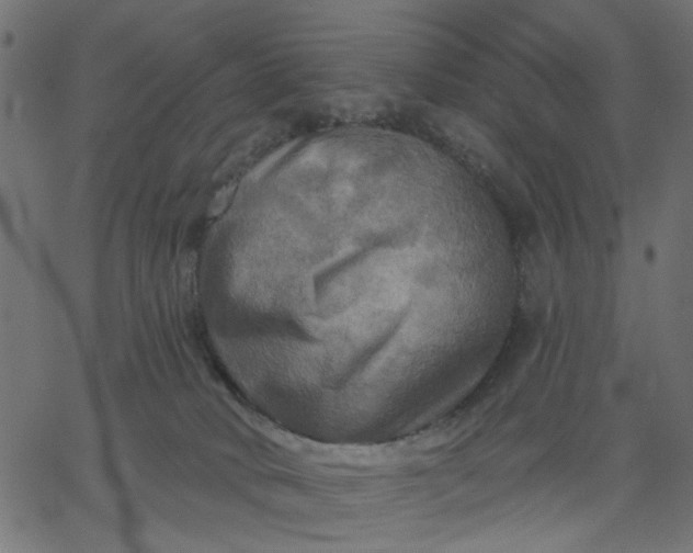 X0000067840034200604271631