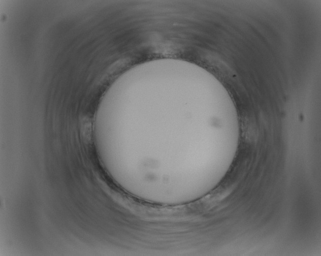 X0000067840036200604271631