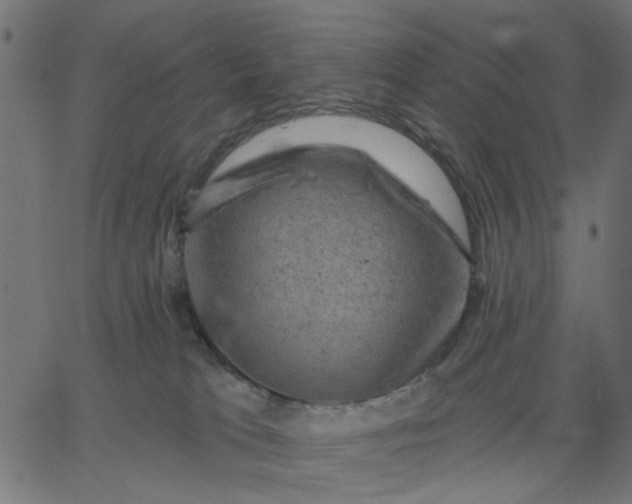 X0000067840037200604271631