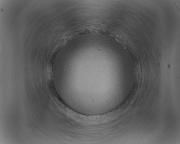 X0000067840038200604271631