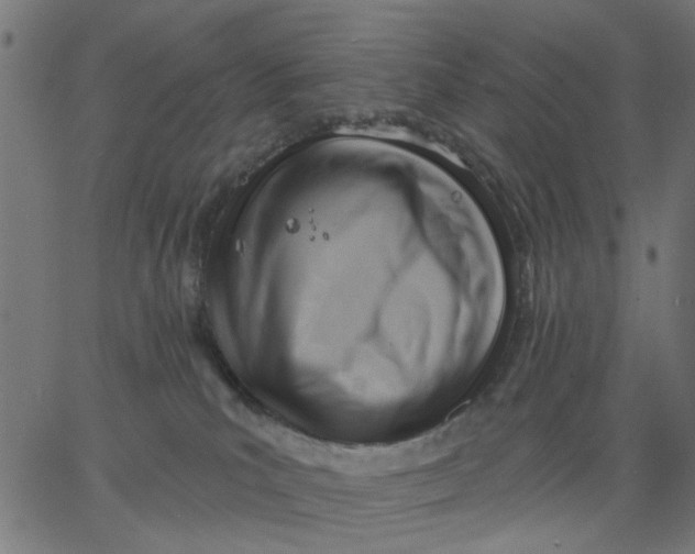 X0000067840039200604271631