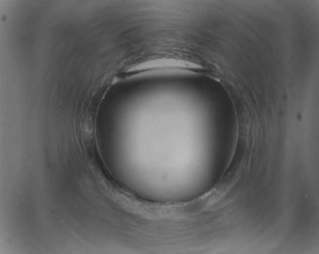 X0000067840040200604271631